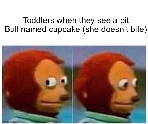 Monkey Puppet | Toddlers when they see a pit Bull named cupcake (she doesn’t bite) | image tagged in memes,monkey puppet | made w/ Imgflip meme maker