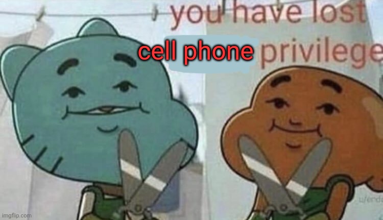 MSMG lore | cell phone | image tagged in you have lost penis privilege,msmg,lore,wheres my penis | made w/ Imgflip meme maker