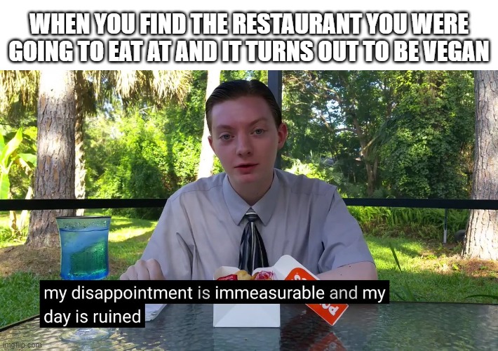 And it was the same with practically every other one on the street | WHEN YOU FIND THE RESTAURANT YOU WERE GOING TO EAT AT AND IT TURNS OUT TO BE VEGAN | image tagged in my disappointment is immeasurable,restaurant,vegan | made w/ Imgflip meme maker