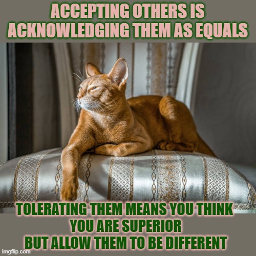 This #lolcat wonders if you tolerate or accept others | ACCEPTING OTHERS IS ACKNOWLEDGING THEM AS EQUALS; TOLERATING THEM MEANS YOU THINK 
YOU ARE SUPERIOR
BUT ALLOW THEM TO BE DIFFERENT | image tagged in lolcat,tolerance,intolerance,acceptance,think about it | made w/ Imgflip meme maker
