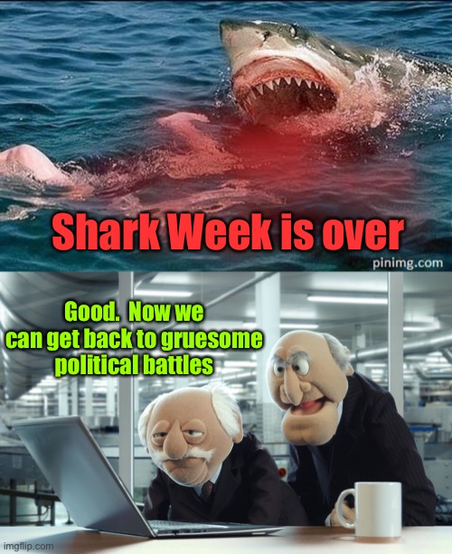 Shark carnage was way less brutal | Shark Week is over; Good.  Now we can get back to gruesome political battles | image tagged in shark week,political fighting | made w/ Imgflip meme maker