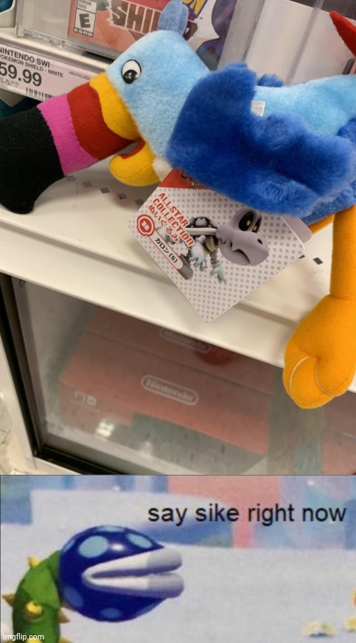 Toucan plush actually | image tagged in say sike right now,you had one job,toucan,plush,memes,fail | made w/ Imgflip meme maker