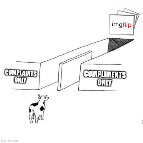 Bring it | COMPLAINTS ONLY COMPLIMENTS ONLY | image tagged in the illusion of free choice blank,bring it,rules,evil overlord rules,complaint,compliment | made w/ Imgflip meme maker
