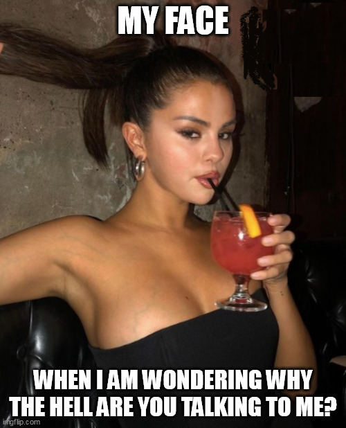 when I am wondering why the hell are you talking to me? | MY FACE; WHEN I AM WONDERING WHY THE HELL ARE YOU TALKING TO ME? | image tagged in selena gomez,funny,talking,extrovert,sharing is caring | made w/ Imgflip meme maker
