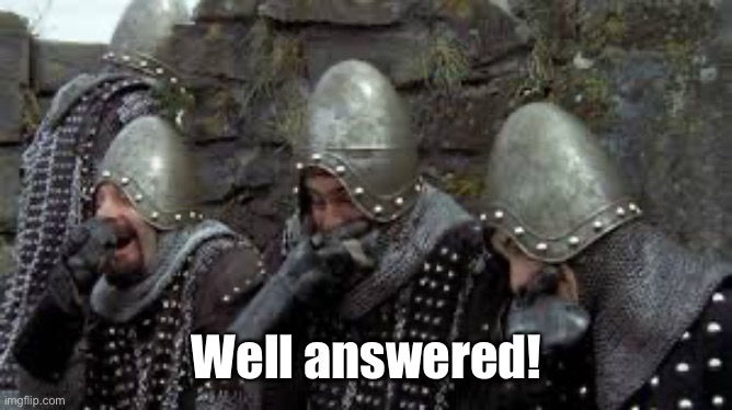 Monty Python Holy Grail French castle | Well answered! | image tagged in monty python holy grail french castle | made w/ Imgflip meme maker