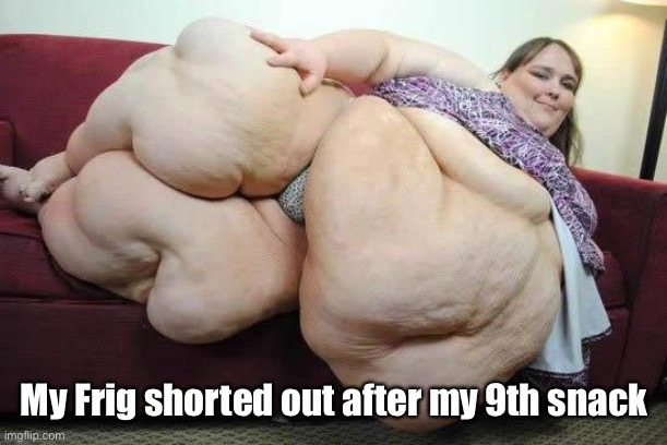 fat girl | My Frig shorted out after my 9th snack | image tagged in fat girl | made w/ Imgflip meme maker