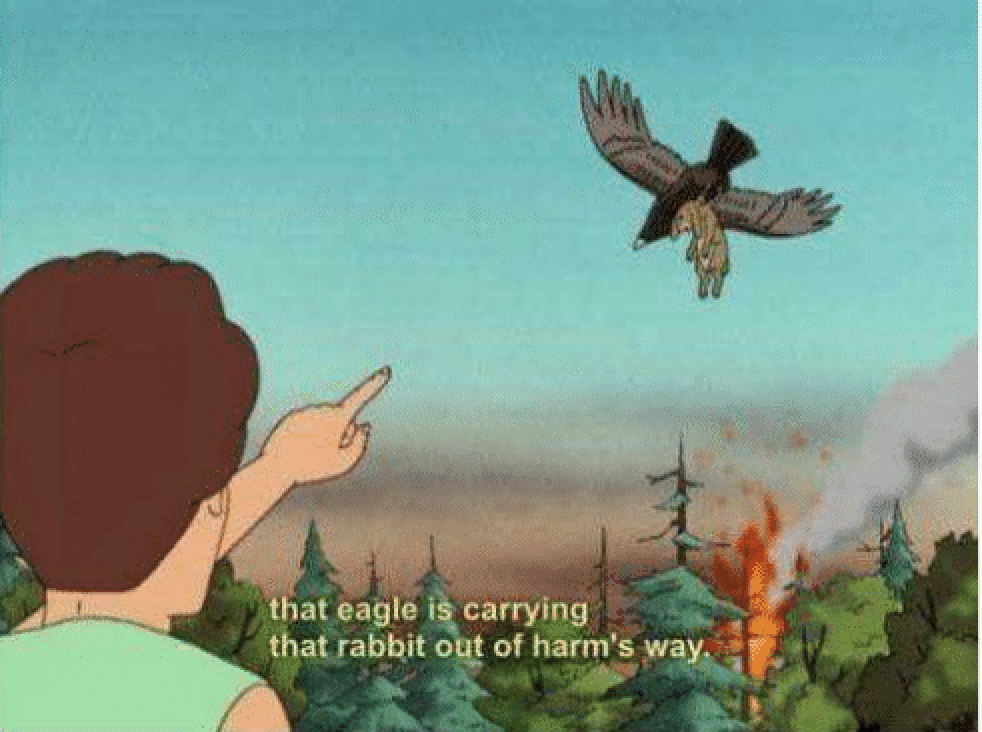 High Quality Eagle Carrying Rabbit Blank Meme Template