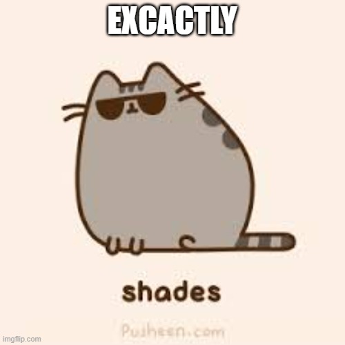 awesome pusheen | EXCACTLY | image tagged in awesome pusheen | made w/ Imgflip meme maker