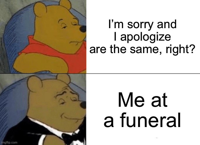 Bro ? | I’m sorry and I apologize are the same, right? Me at a funeral | image tagged in memes,tuxedo winnie the pooh | made w/ Imgflip meme maker