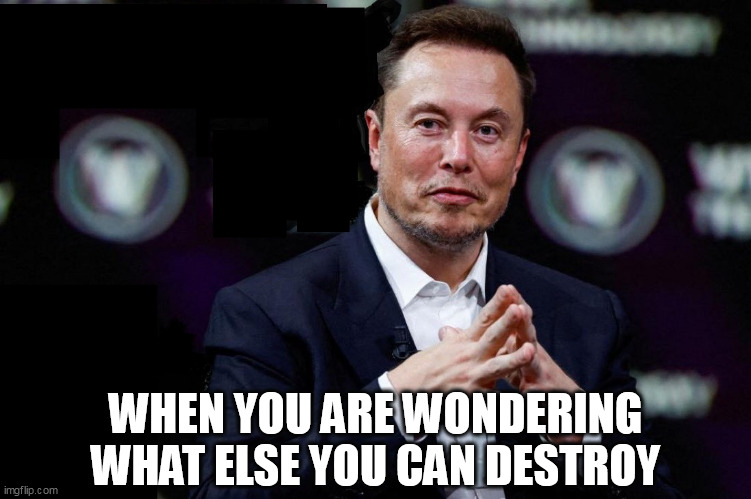 When you are wondering what else you can destroy | WHEN YOU ARE WONDERING WHAT ELSE YOU CAN DESTROY | image tagged in elon musk,funny,business,twitter,x,tesla | made w/ Imgflip meme maker