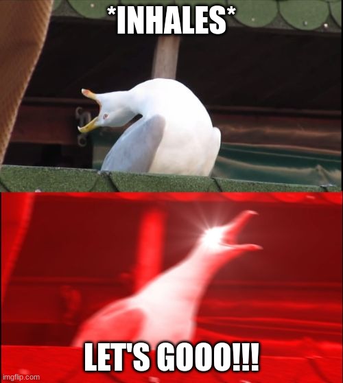 screaming seagull | *INHALES*; LET'S GOOO!!! | image tagged in screaming seagull | made w/ Imgflip meme maker