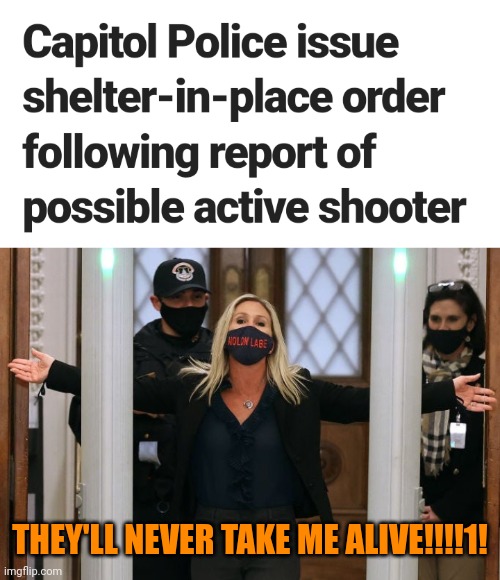 "I don't f---ing care that they have weapons. They're not here to hurt me. Take the f---ing mags away." | THEY'LL NEVER TAKE ME ALIVE!!!!1! | image tagged in marjorie taylor greene,maga terrorism | made w/ Imgflip meme maker