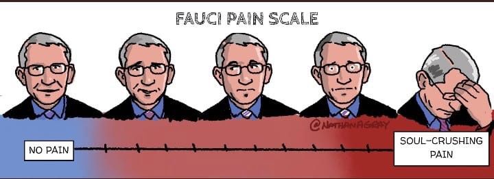 High Quality Fauci Pain Scale Blank Meme Template