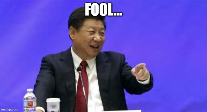 Xi Jinping Laughing | FOOL... | image tagged in xi jinping laughing | made w/ Imgflip meme maker