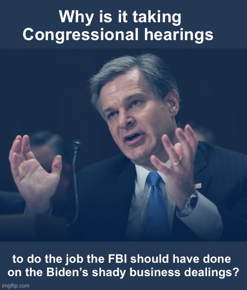 Asking…for a friend | Why is it taking Congressional hearings; to do the job the FBI should have done 
on the Biden’s shady business dealings? | image tagged in if only you knew how bad things really are | made w/ Imgflip meme maker