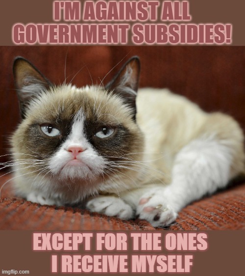 This #lolcat wonders if you are in favour or against government subsidies. Always? | I'M AGAINST ALL GOVERNMENT SUBSIDIES! EXCEPT FOR THE ONES 
I RECEIVE MYSELF | image tagged in lolcat,hypocrisy,think about it | made w/ Imgflip meme maker
