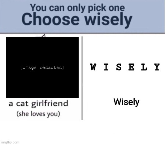 A random meme | W I S E L Y; Wisely | image tagged in choose wisely | made w/ Imgflip meme maker