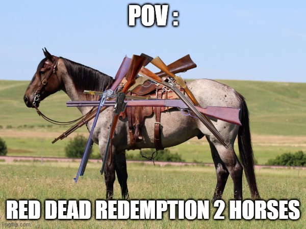 rdr2 horses | POV :; RED DEAD REDEMPTION 2 HORSES | image tagged in fun,gaming,rockstar,western | made w/ Imgflip meme maker