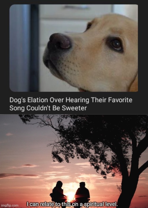 Me literally | image tagged in i can relate to this on a spiritual level,dogs,dog,song,memes,favorite song | made w/ Imgflip meme maker