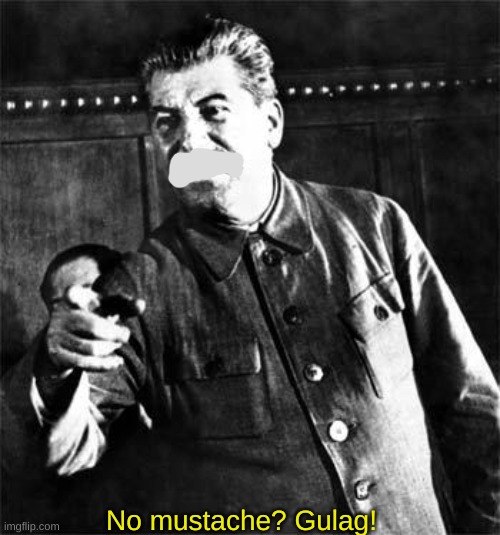 Stalin | No mustache? Gulag! | image tagged in stalin | made w/ Imgflip meme maker