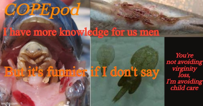 COPEpod's announcement template | I have more knowledge for us men; But it's funnier if I don't say | image tagged in copepod's announcement template | made w/ Imgflip meme maker