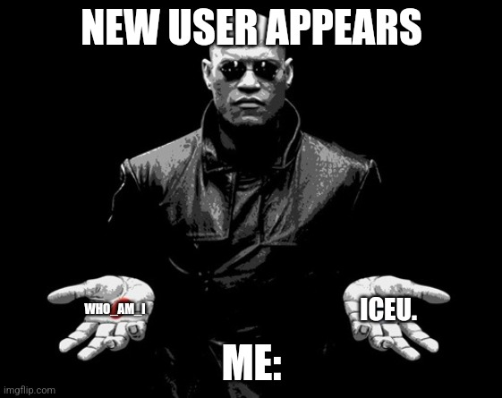 Choose it. | NEW USER APPEARS; ME:; ICEU. WHO_AM_I | image tagged in morpheus matrix blue pill red pill | made w/ Imgflip meme maker