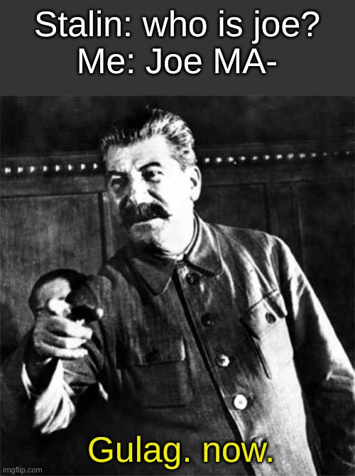 Stalin | Stalin: who is joe?
Me: Joe MA-; Gulag. now. | image tagged in stalin | made w/ Imgflip meme maker