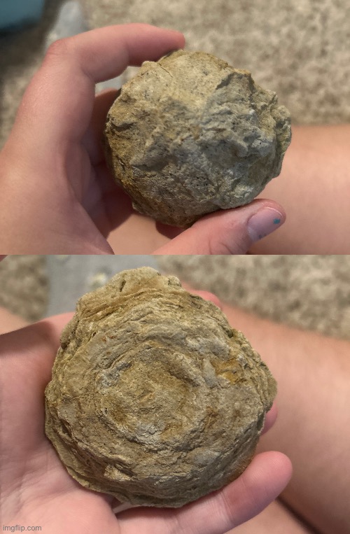 Anyone know if this is a fossil, a geode or just some cool shaped rock? | made w/ Imgflip meme maker