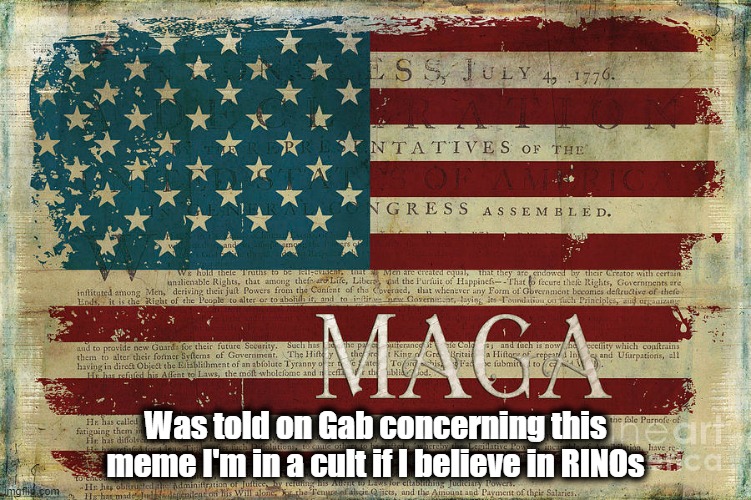 Was told on Gab concerning this meme I'm in a cult if I believe in RINOs | made w/ Imgflip meme maker