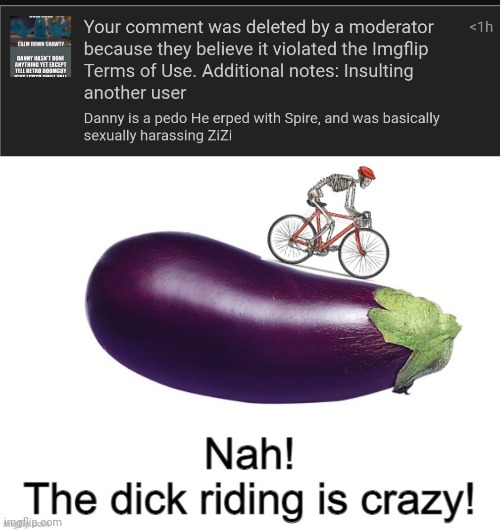 image tagged in nah the dick riding is crazy | made w/ Imgflip meme maker