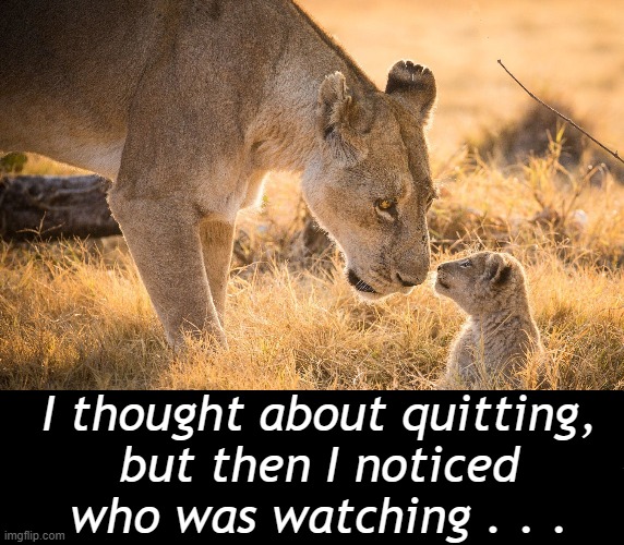 Teach Your Children Well | I thought about quitting, 
but then I noticed 
who was watching . . . | image tagged in life,real life,parenting,you had one job,family life,wholesome content | made w/ Imgflip meme maker