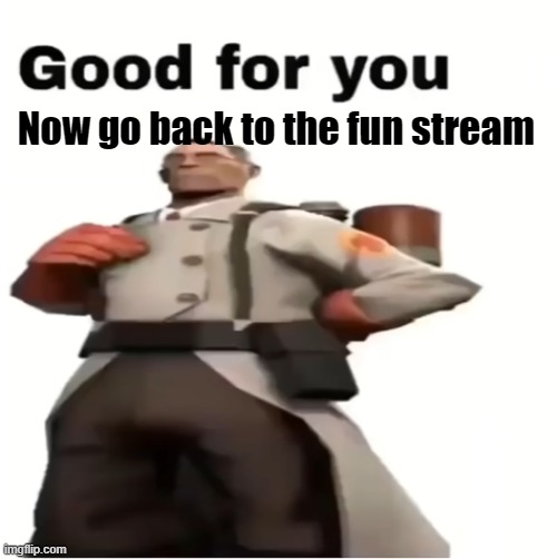 Good for you | Now go back to the fun stream | image tagged in good for you | made w/ Imgflip meme maker