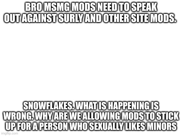 BRO MSMG MODS NEED TO SPEAK OUT AGAINST SURLY AND OTHER SITE MODS. SNOWFLAKES. WHAT IS HAPPENING IS WRONG. WHY ARE WE ALLOWING MODS TO STICK UP FOR A PERSON WHO SEXUALLY LIKES MINORS | made w/ Imgflip meme maker