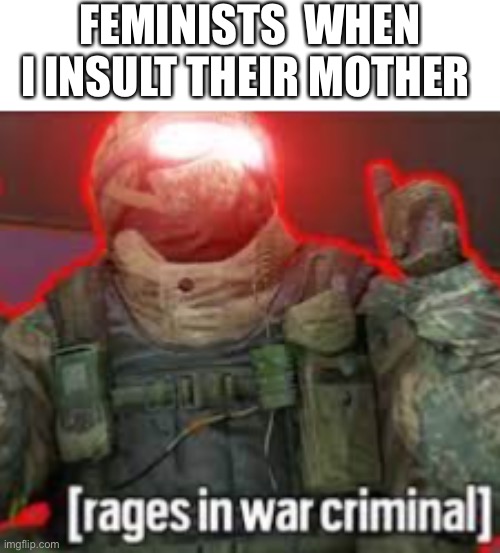 [rages in war criminal] | FEMINISTS  WHEN I INSULT THEIR MOTHER | image tagged in rages in war criminal | made w/ Imgflip meme maker
