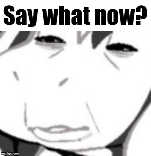 Say what now? | image tagged in say what now | made w/ Imgflip meme maker