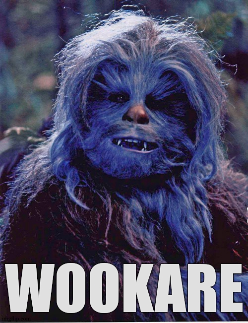 Who care[s] of a wookie in the starwarsmemes stream after all ? | WOOKARE | image tagged in wookie,star wars,chewbacca,who cares,nobody cares,chewie | made w/ Imgflip meme maker