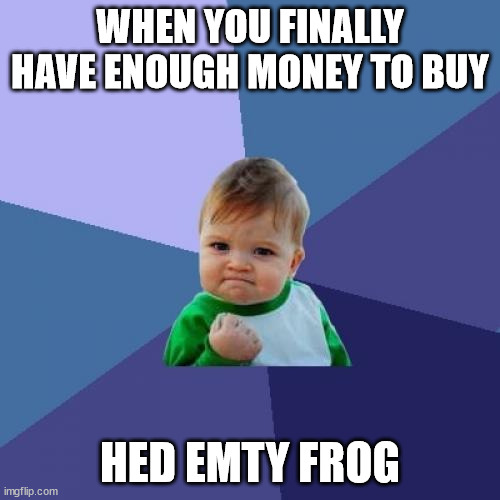Success Kid | WHEN YOU FINALLY HAVE ENOUGH MONEY TO BUY; HED EMTY FROG | image tagged in memes,success kid | made w/ Imgflip meme maker