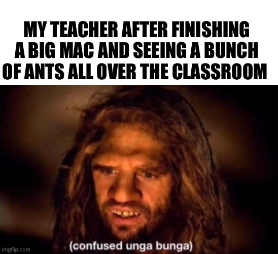 They’ll be confused for the rest of their lives | MY TEACHER AFTER FINISHING A BIG MAC AND SEEING A BUNCH OF ANTS ALL OVER THE CLASSROOM | image tagged in confused unga bunga | made w/ Imgflip meme maker