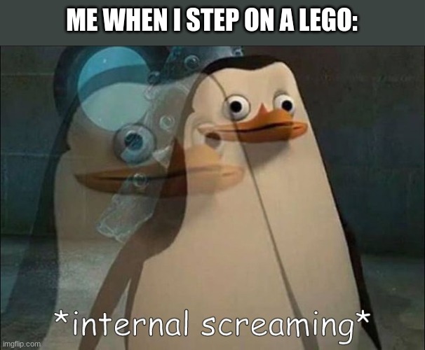 HELP. | ME WHEN I STEP ON A LEGO: | image tagged in private internal screaming | made w/ Imgflip meme maker
