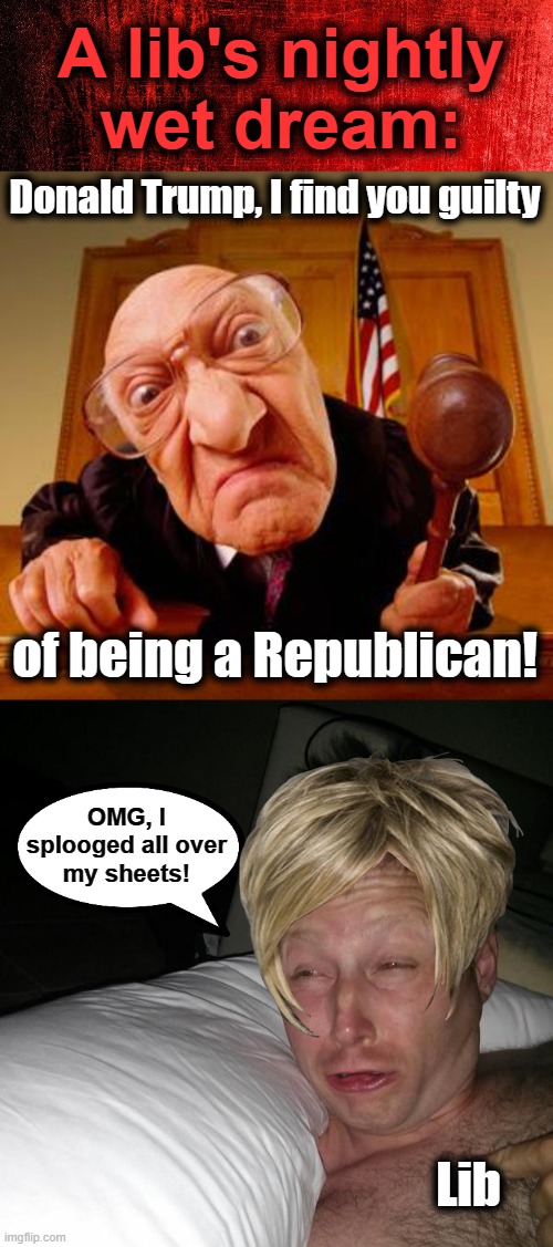 A lib's nightly
wet dream:; Donald Trump, I find you guilty; of being a Republican! OMG, I
splooged all over
my sheets! Lib | image tagged in mean judge,limmy waking up,libs,donald trump,wet dream,democrats | made w/ Imgflip meme maker