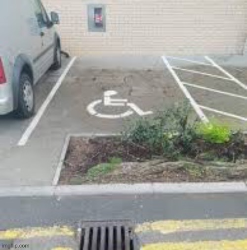 Disabled parking | image tagged in disabled parking | made w/ Imgflip meme maker