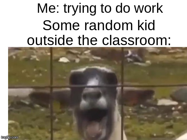 Once someone literally screamed like a goat. I nearly died. | Me: trying to do work; Some random kid outside the classroom: | image tagged in goat,screaming,school,work | made w/ Imgflip meme maker