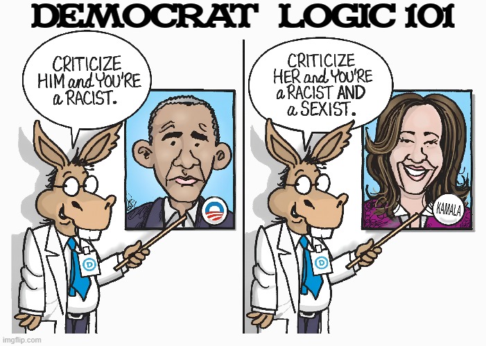 DEMOCRAT  LOGIC 101 | made w/ Imgflip meme maker