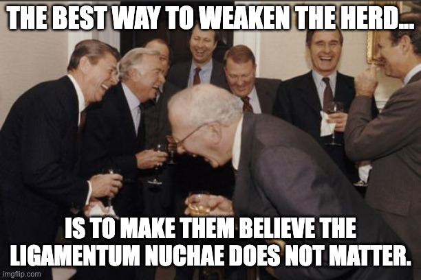The secret weapon of the human species is... | THE BEST WAY TO WEAKEN THE HERD... IS TO MAKE THEM BELIEVE THE LIGAMENTUM NUCHAE DOES NOT MATTER. | image tagged in memes,laughing men in suits | made w/ Imgflip meme maker