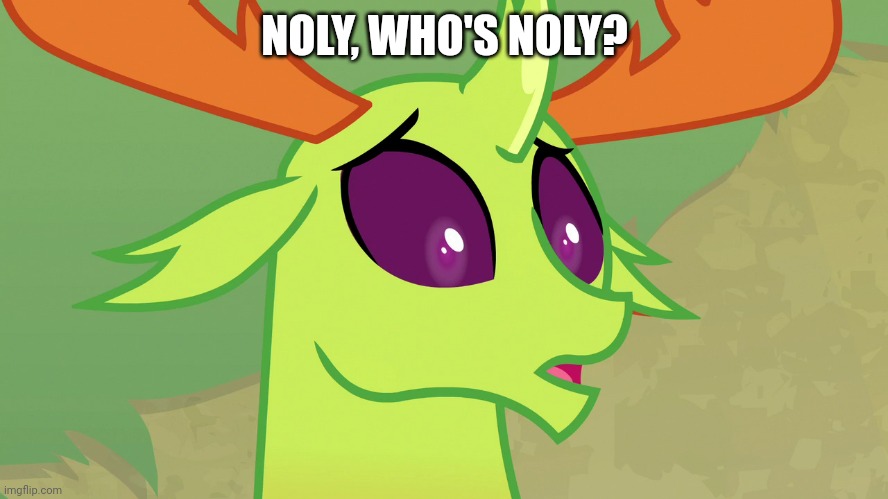 Confused Thorax (MLP) | NOLY, WHO'S NOLY? | image tagged in confused thorax mlp | made w/ Imgflip meme maker