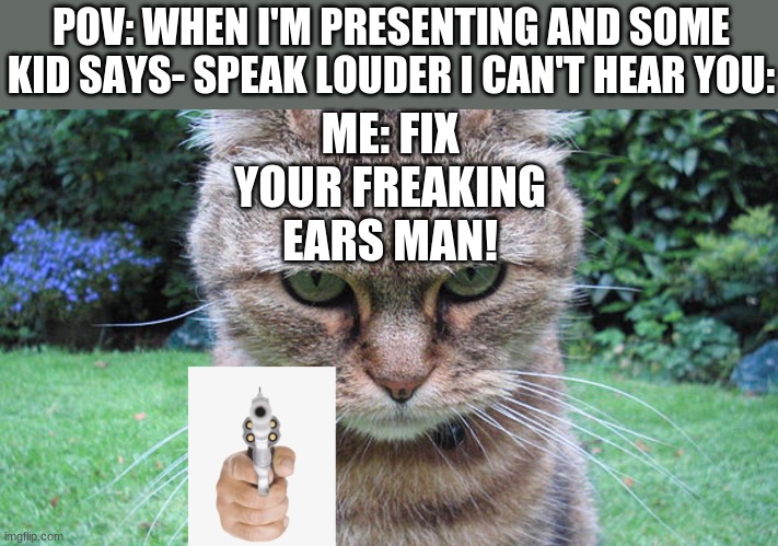 POV: WHEN I'M PRESENTING AND SOME KID SAYS- SPEAK LOUDER I CAN'T HEAR YOU:; ME: FIX YOUR FREAKING EARS MAN! | image tagged in threatening cat | made w/ Imgflip meme maker