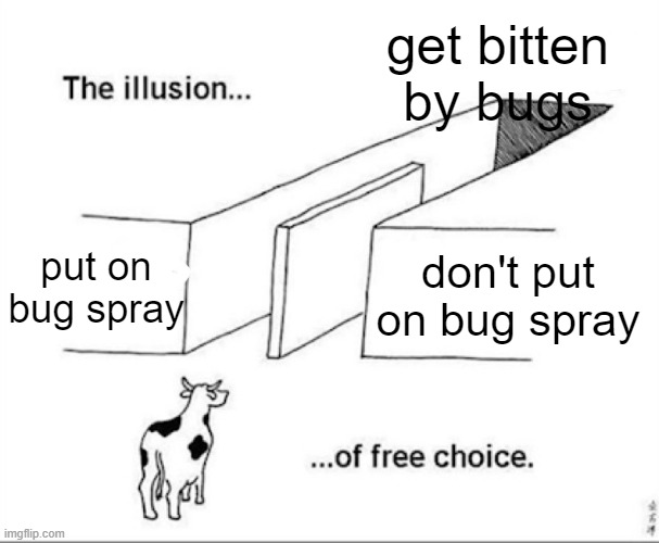 illusion of choice | get bitten by bugs; put on bug spray; don't put on bug spray | image tagged in illusion of free choice | made w/ Imgflip meme maker