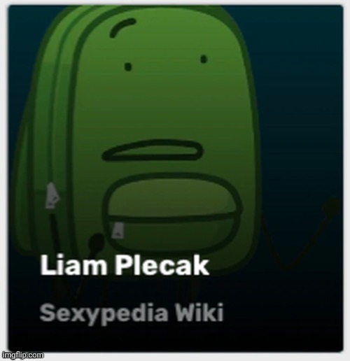 Liam plecak, sexypedia wiki | made w/ Imgflip meme maker