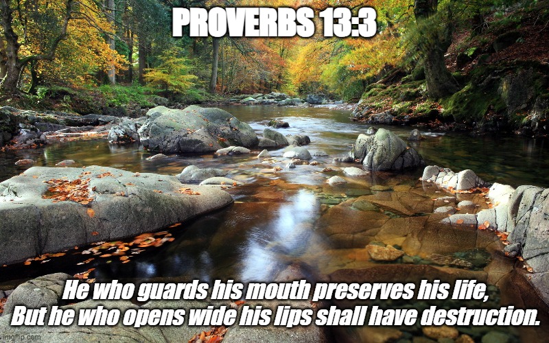 Bible Verse of the Day | PROVERBS 13:3; He who guards his mouth preserves his life,
But he who opens wide his lips shall have destruction. | image tagged in bible verse of the day,christiansonly | made w/ Imgflip meme maker