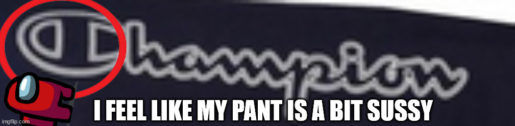 Sus proof | I FEEL LIKE MY PANT IS A BIT SUSSY | image tagged in sus,amogus sussy | made w/ Imgflip meme maker